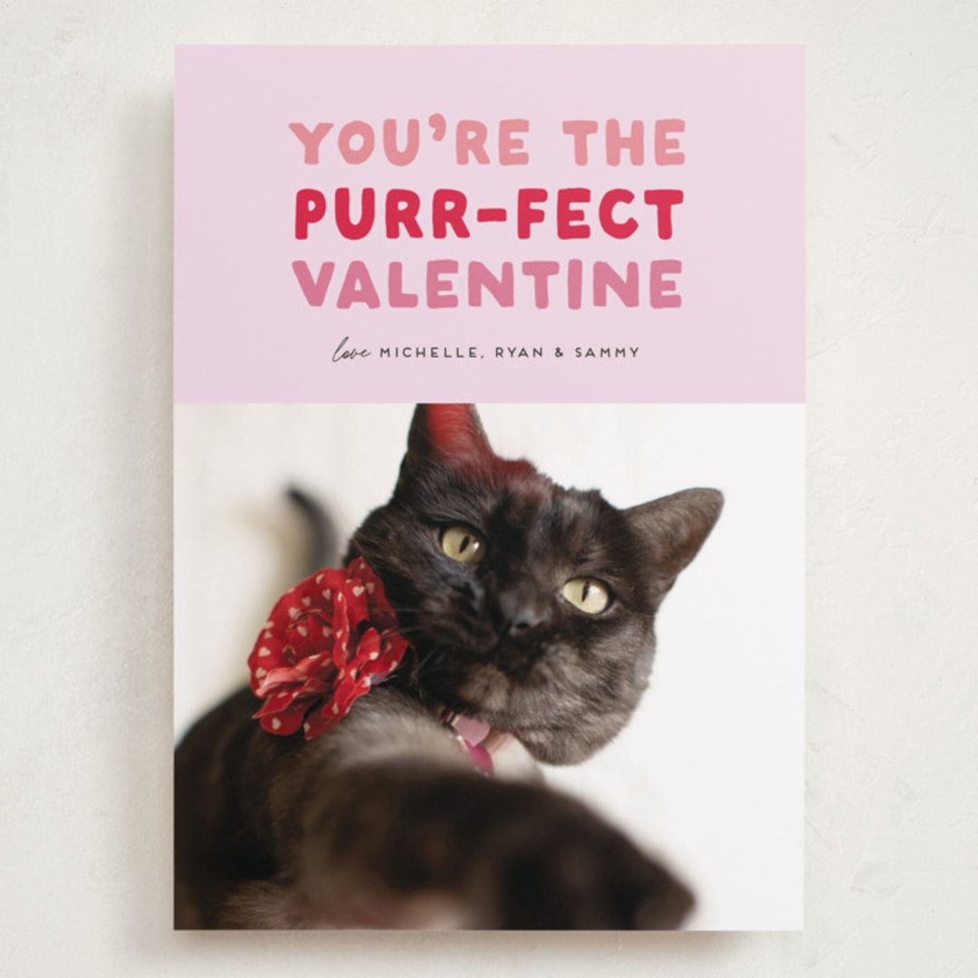 "Purr-fect Valentine" - Valentine's Day Cards in Berry by Carmia Jordaan - Front