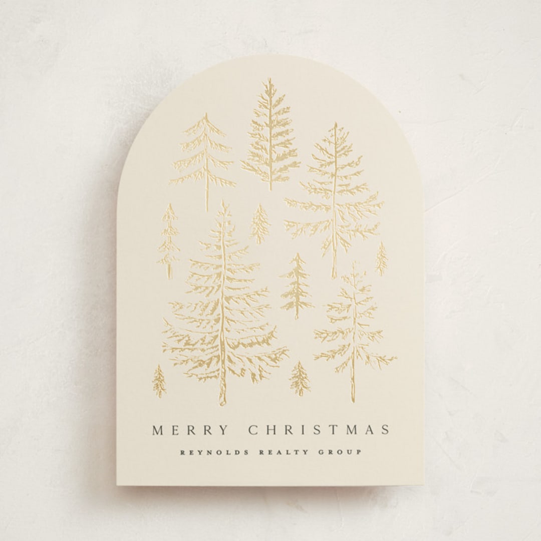 "Spruce Shine" - Holiday Cards in Cream by Amy Kross - Front