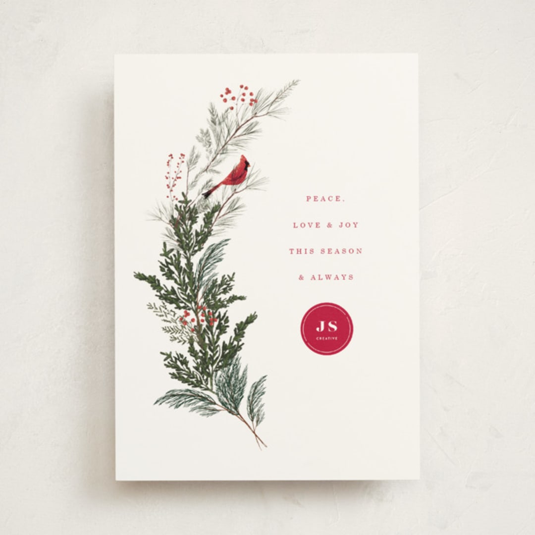 "Cardinal" - Holiday Cards in Holly Berry by Baumbirdy - Front