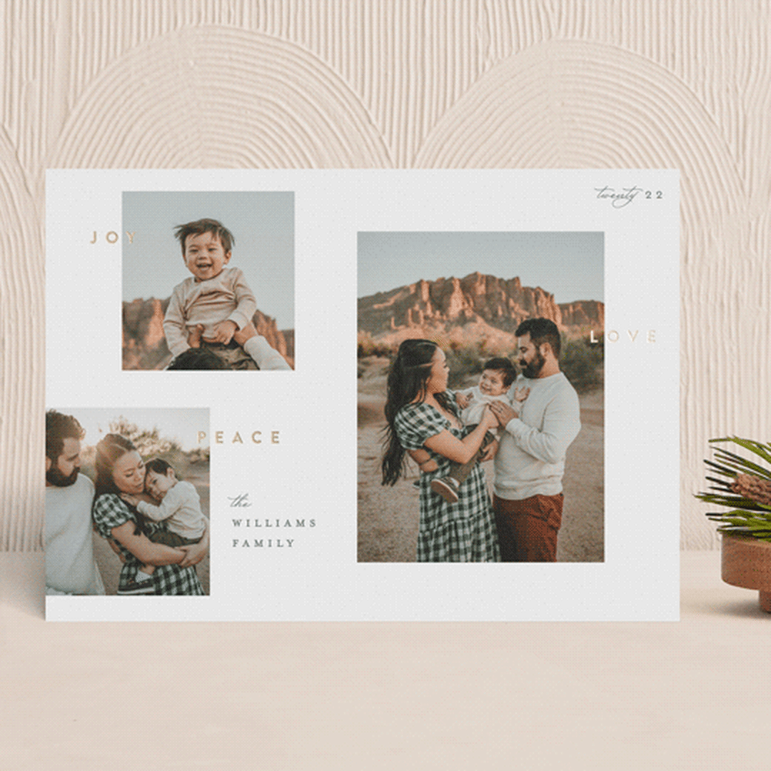 "Joy Peace Love" - Holiday Cards in Snow by Robert and Stella - Front