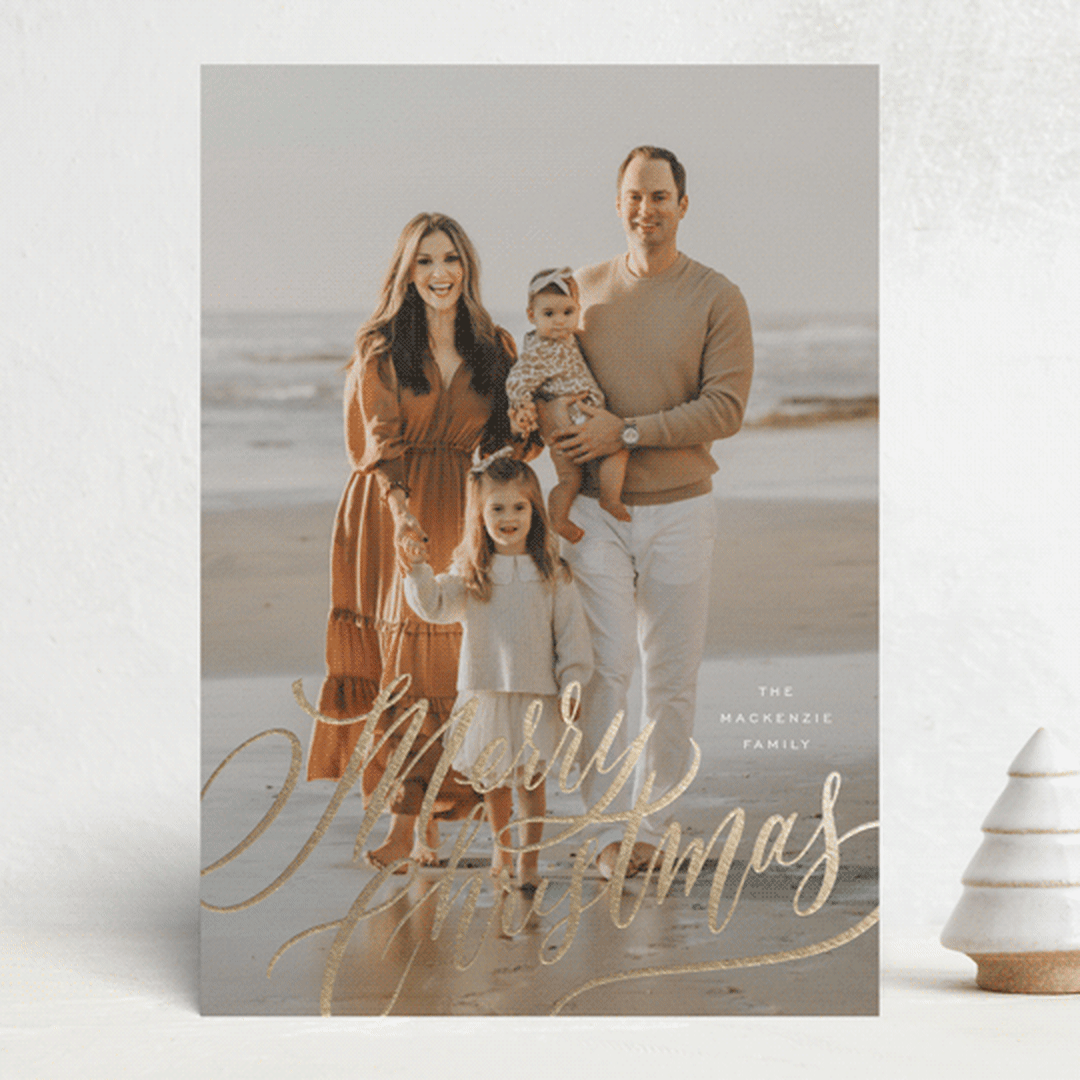 "Merry and Bright!" - Holiday Cards in Winter Garden by Wildfield Paper Co - Front
