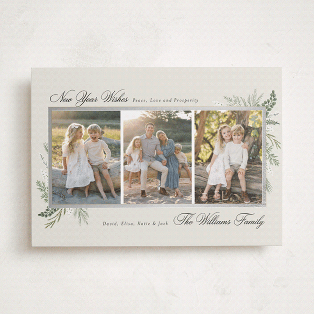 "Warmest Wish" - Holiday Cards in Frost by Susan Moyal - Front