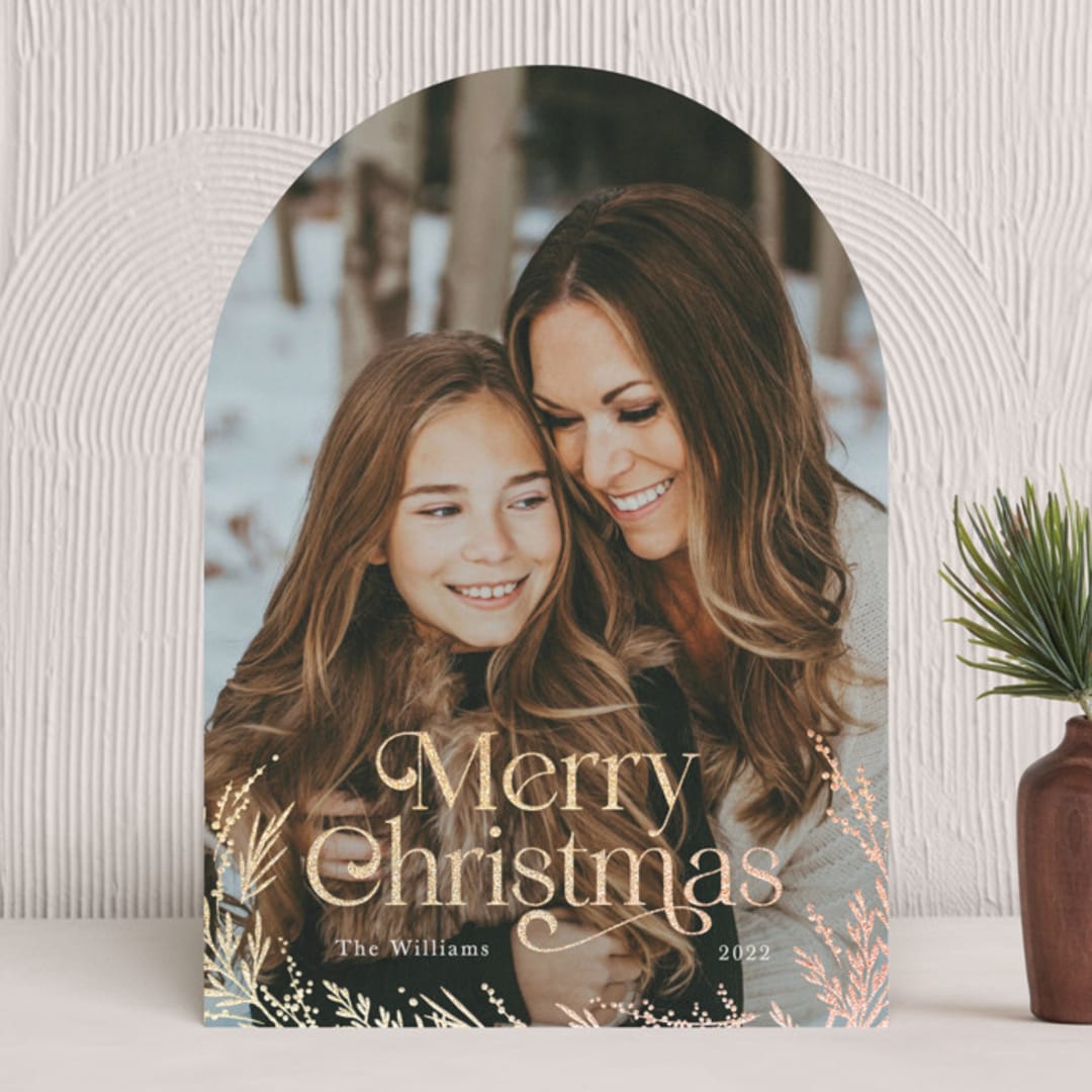 "Pine & Berries" - Holiday Cards in Snow by Robert and Stella - Front