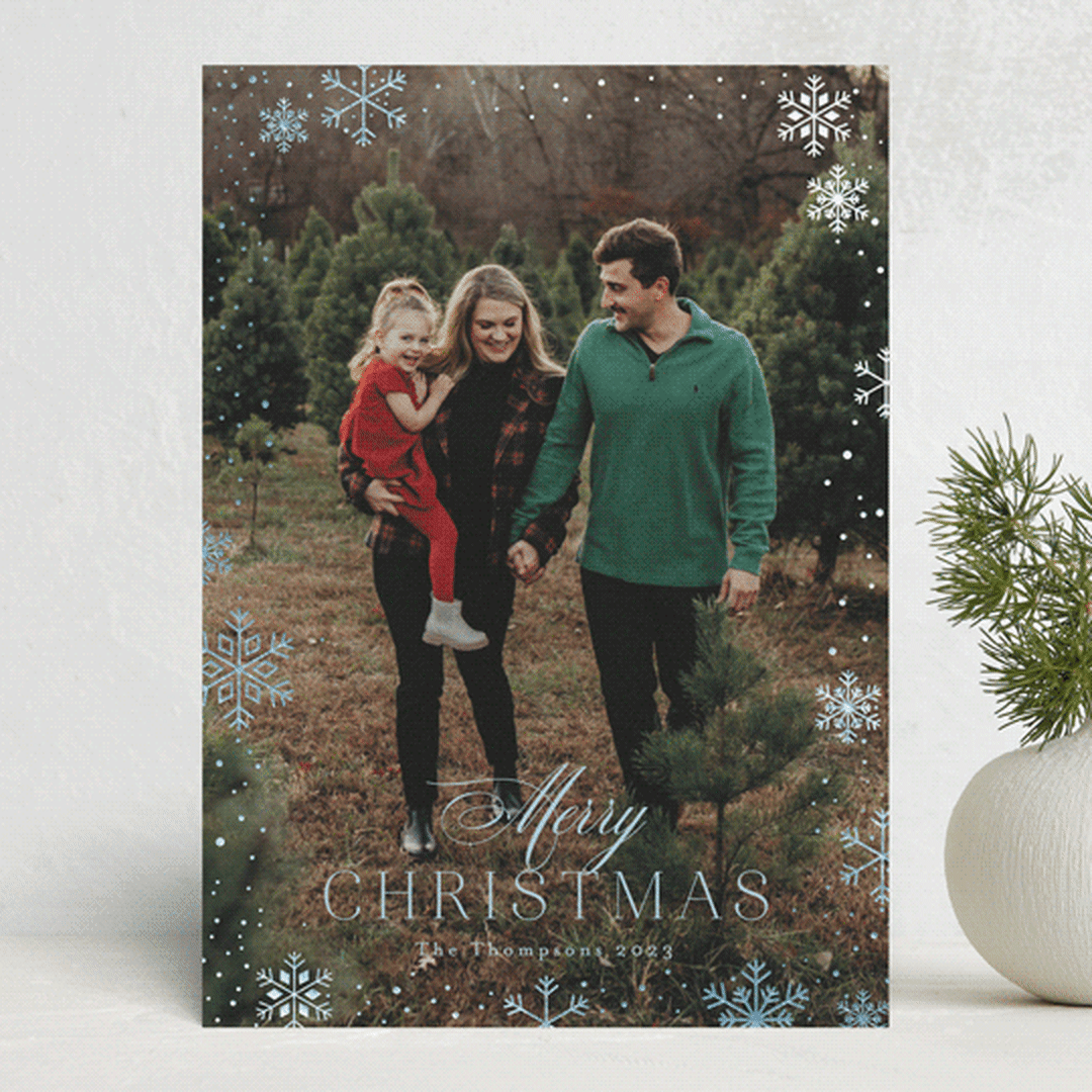 Snow Shower