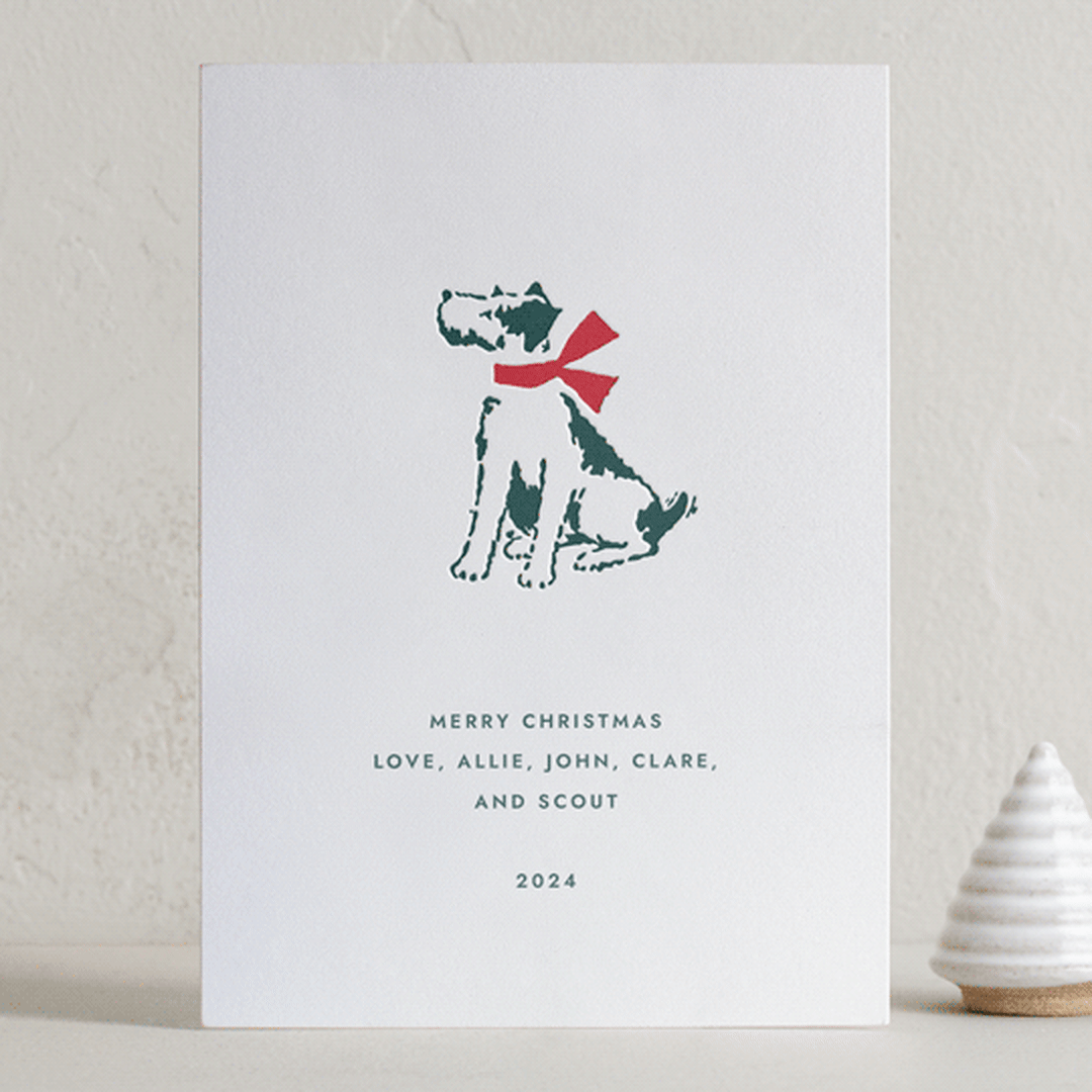 "Present Pawfect" - Letterpress Holiday Cards in Evergreen by Megan Davis - Front