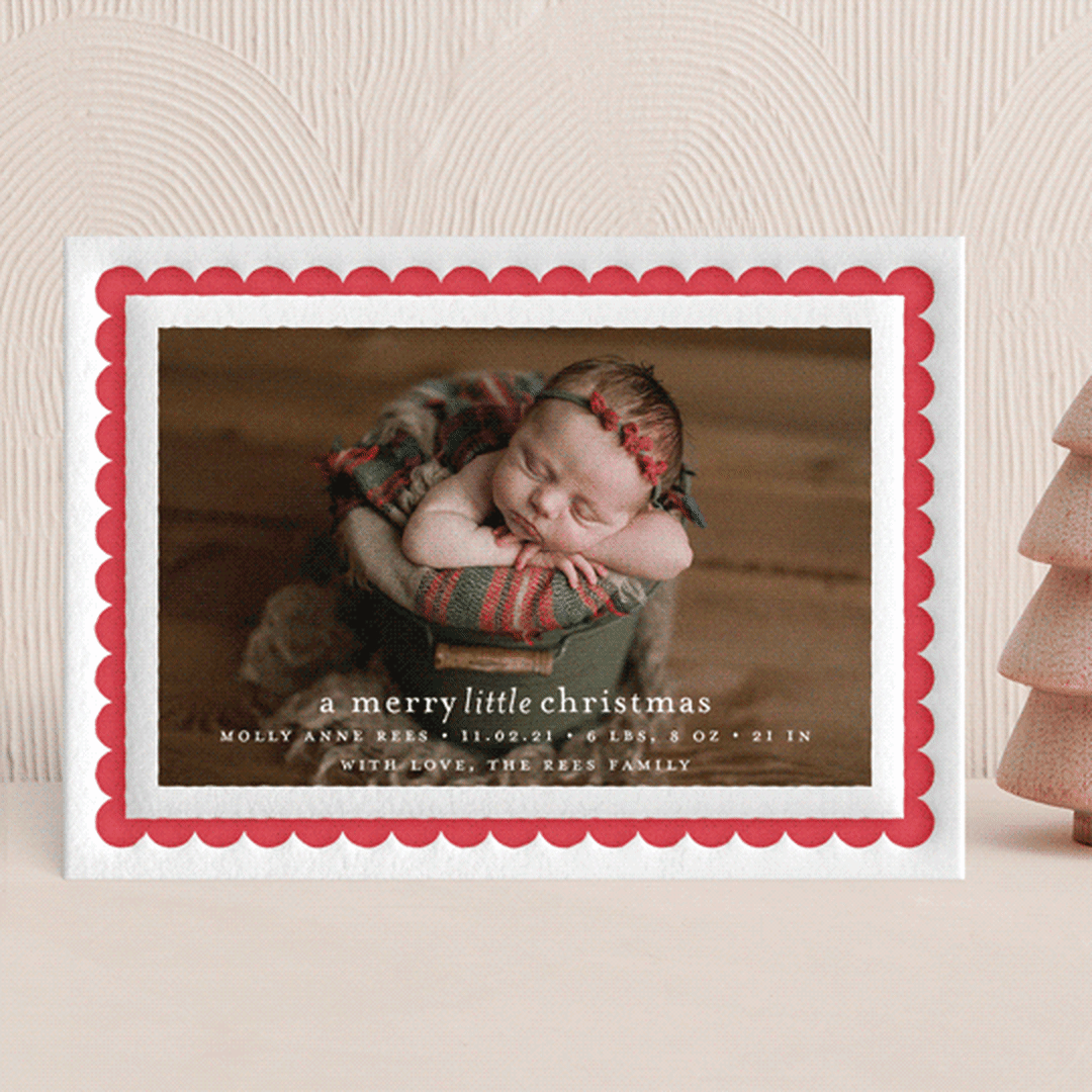 holiday scallop