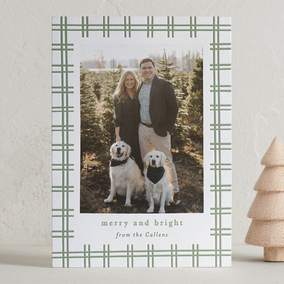 "plaid groove" - Letterpress Holiday Cards in Pistachio by Sara Hicks Malone - Front
