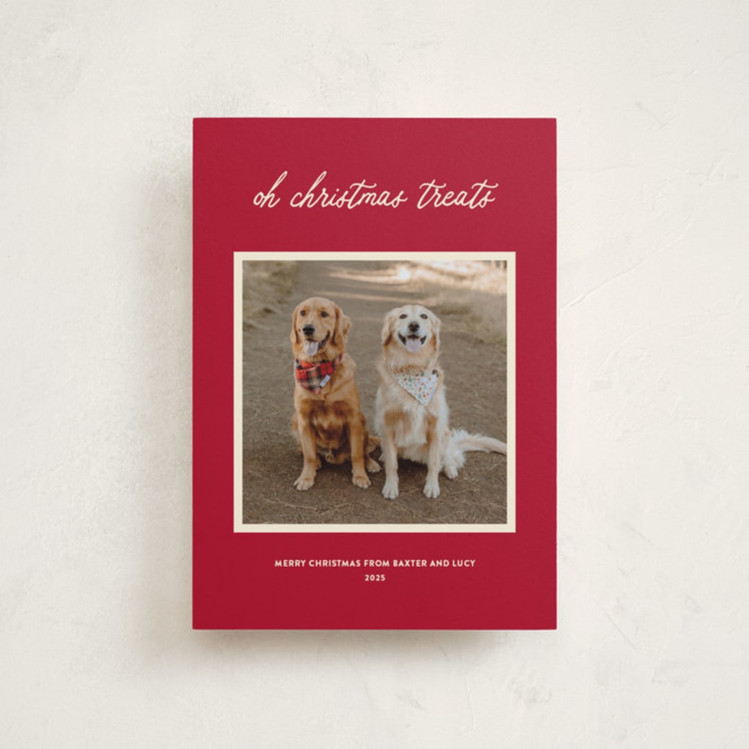 "Christmas Treats" - Holiday Cards in Red Chew Toy by Sarah Hawkins Designs - Front