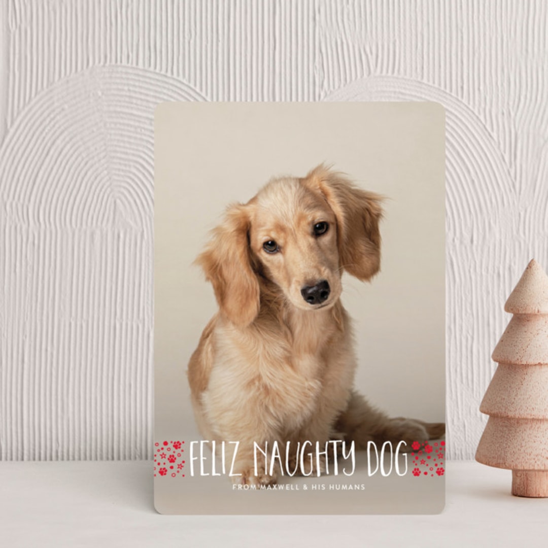 "naughty dog" - Holiday Cards in Fire Engine by Erin Deegan - Front