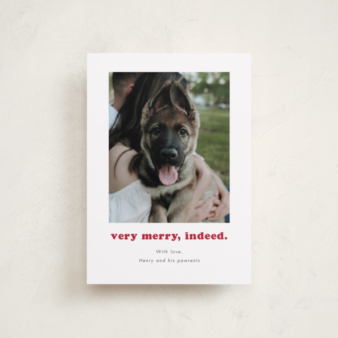 "Indeed" - Holiday Cards in Peppermint by Kristen Knechtel - Front