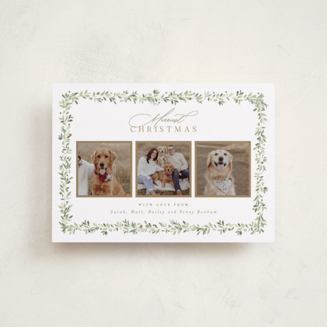 "Laurel Garland" - Holiday Cards in Snow by Everett Paper Goods - Front