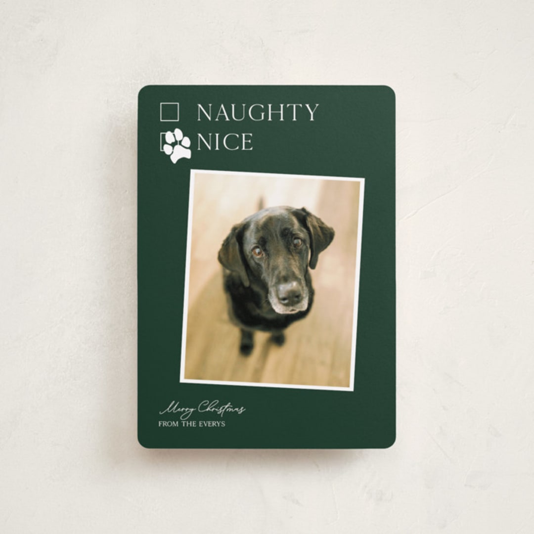 "Nice pup" - Holiday Cards in Forest by Kat Roberts - Front