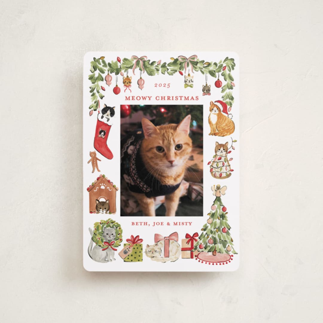 "Meowy Christmas" - Holiday Cards in Pine by Sarah Knight - Front