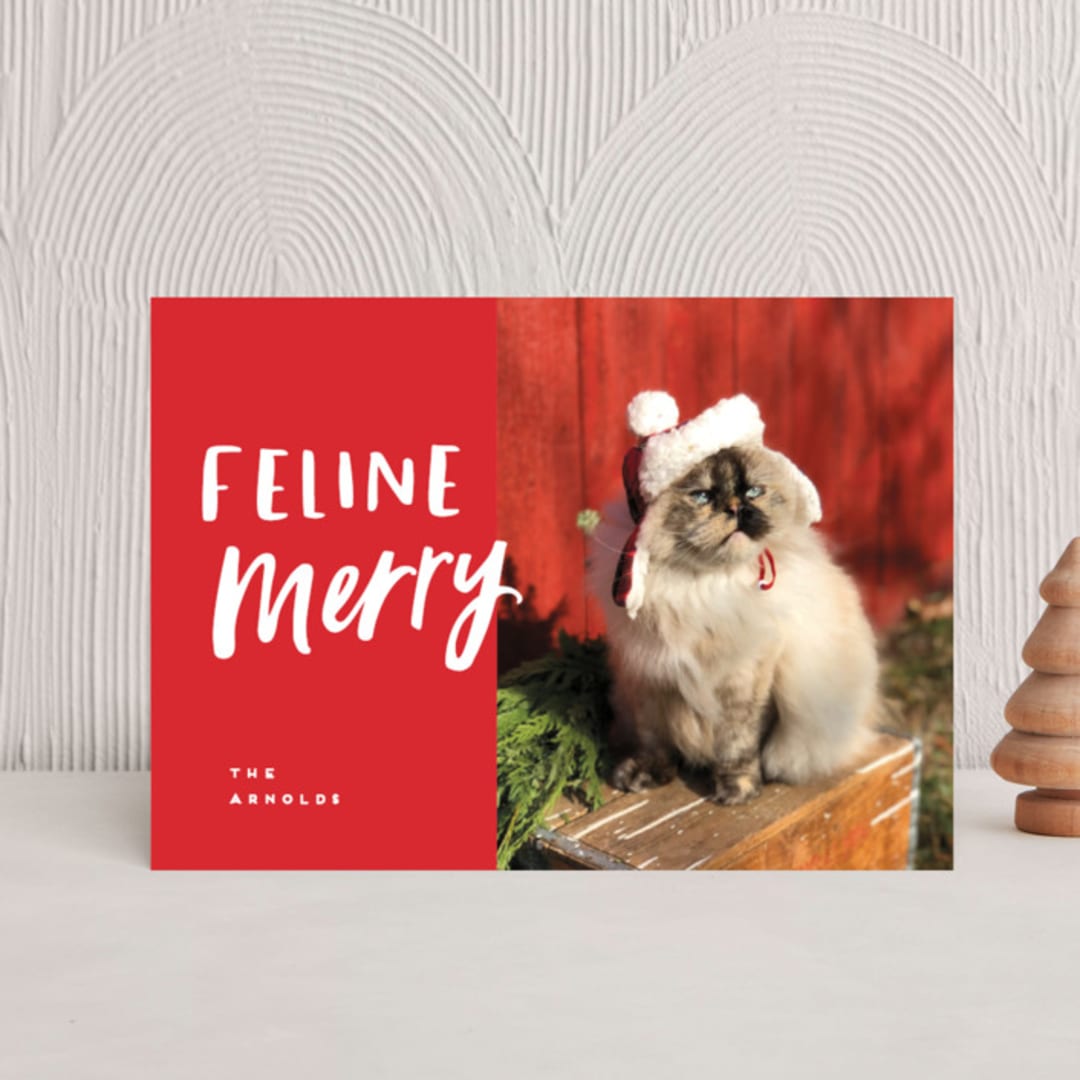 "Feline Merry" - Holiday Cards in Santa Suit by Chryssi Tsoupanarias - Front