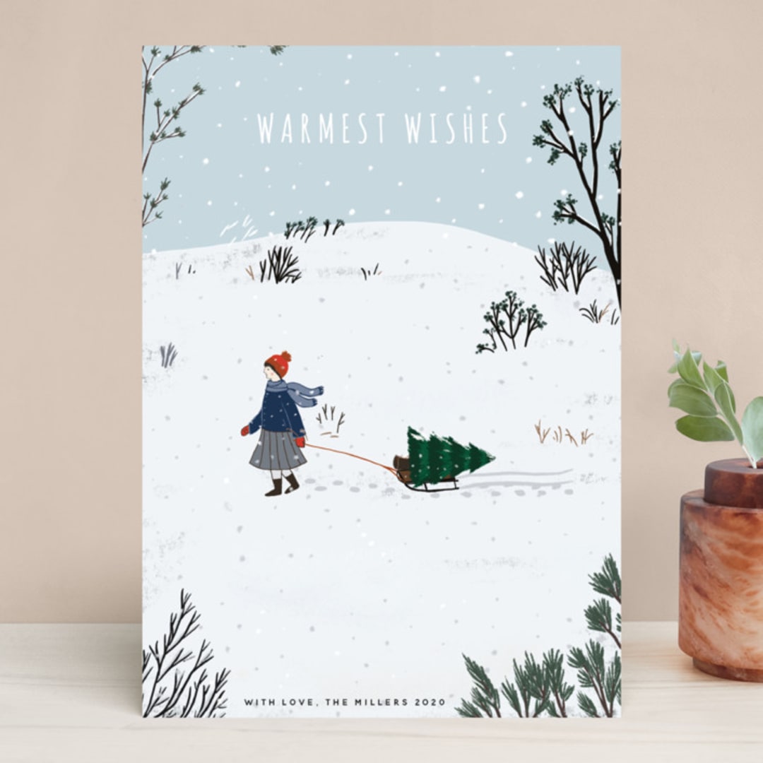 "Warmest Holiday Wishes" - Holiday Cards in Frost by Nikita Jariwala - Front