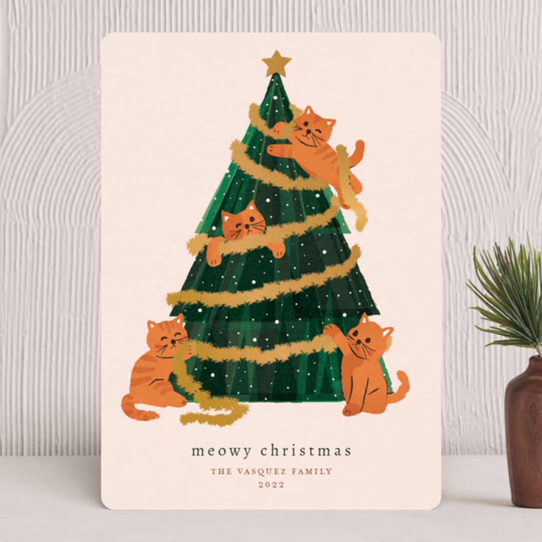 "happy meows" - Holiday Cards in Blush by Jennifer Lew - Front