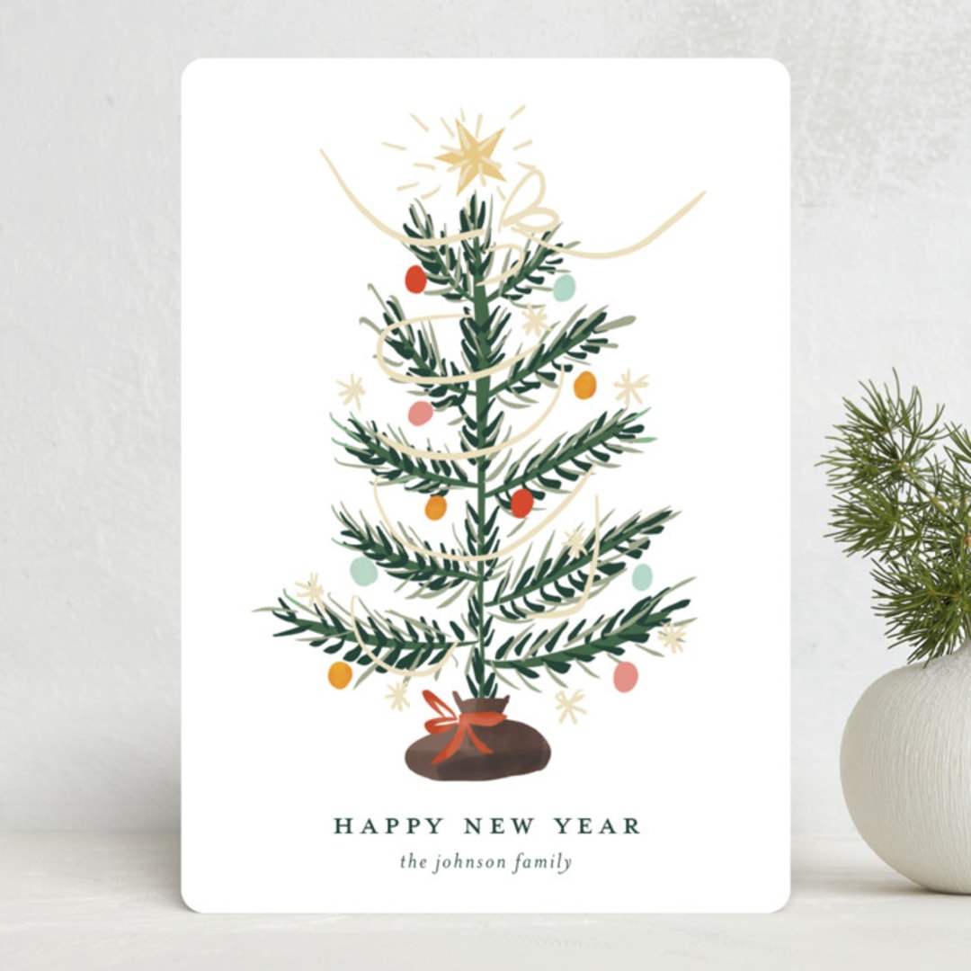 "Silver Tip" - Holiday Cards in Snow by Ani Somi - Front