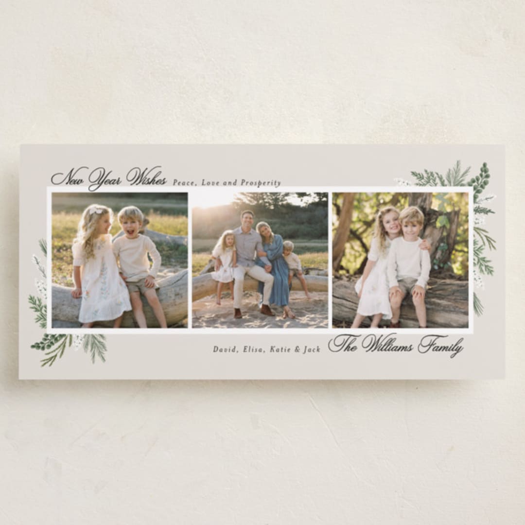 "Warmest Wish" - Holiday Cards in Frost by Susan Moyal - Front