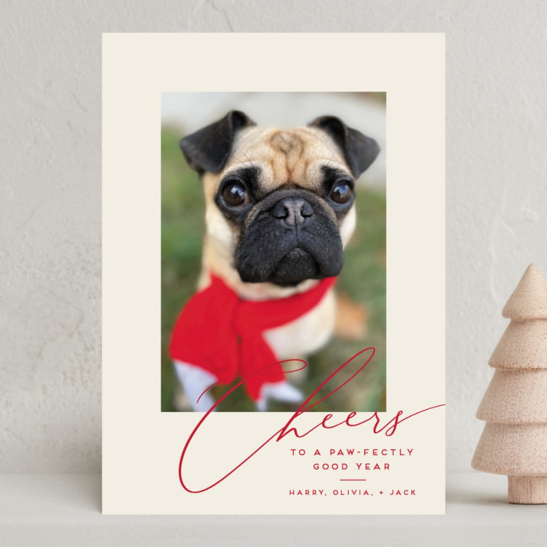 "Happy Pets" - Holiday Cards in Holly Berry by Louise Kay - Front