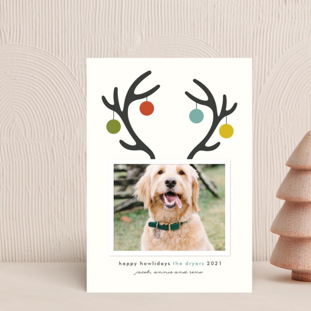 "Happy Howlidays" - Holiday Cards in Frost by Lisa Cersovsky - Front