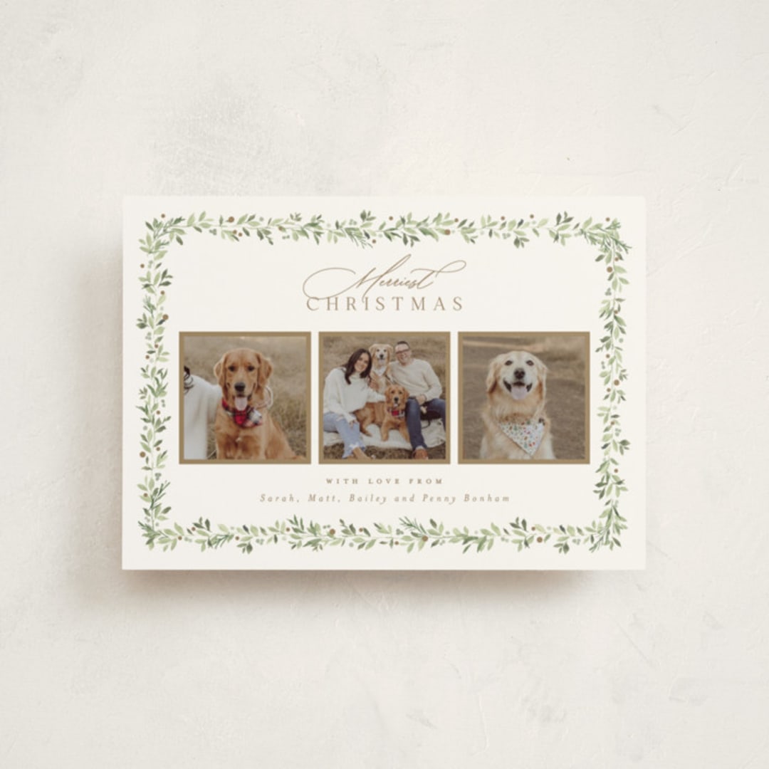 "Laurel Garland" - Holiday Cards in Snow by Everett Paper Goods - Front