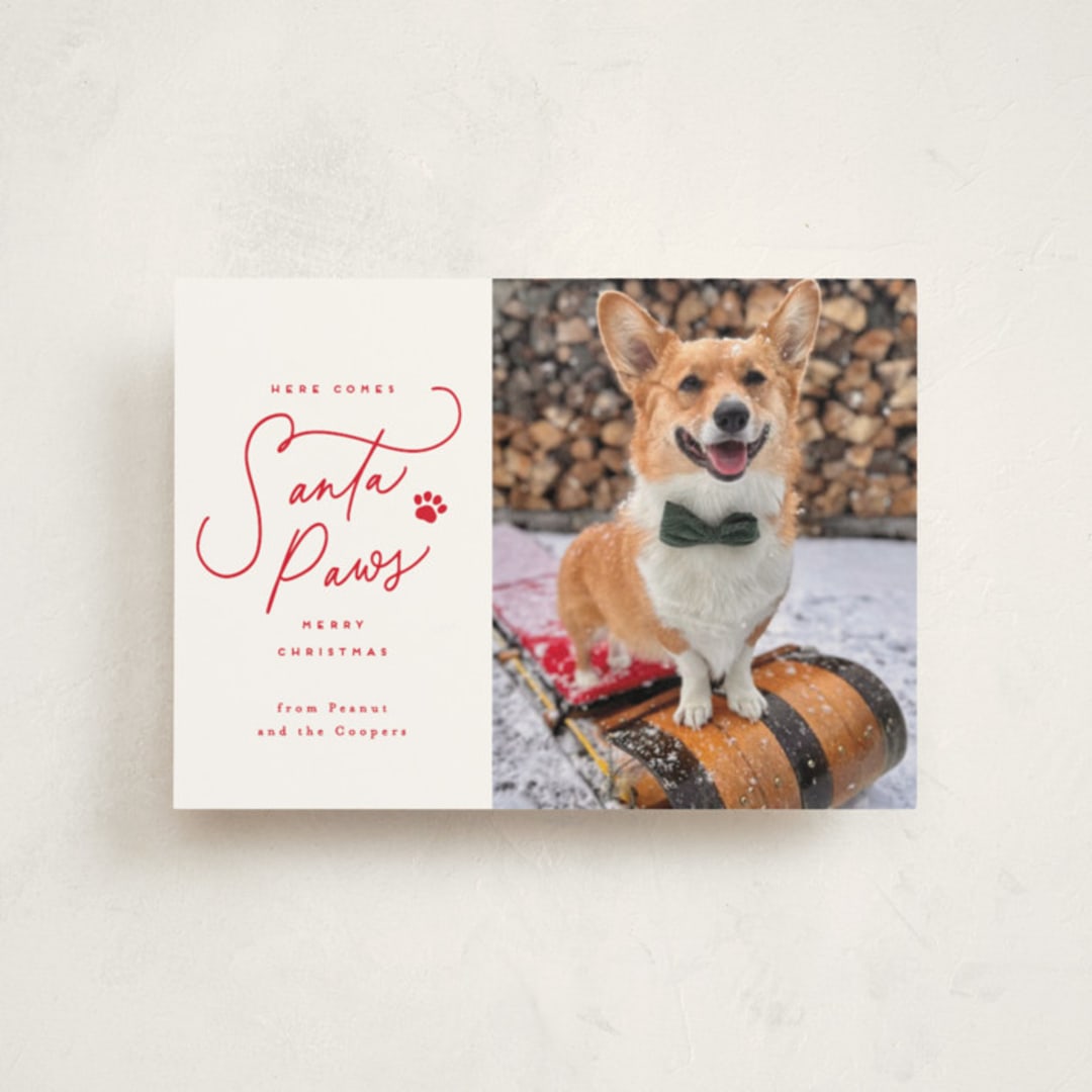 "Here Comes Santa Paws" - Holiday Cards in Cherry by Everett Paper Goods - Front