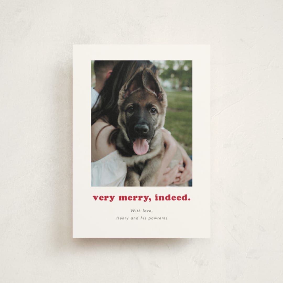 "Indeed" - Holiday Cards in Peppermint by Kristen Knechtel - Front