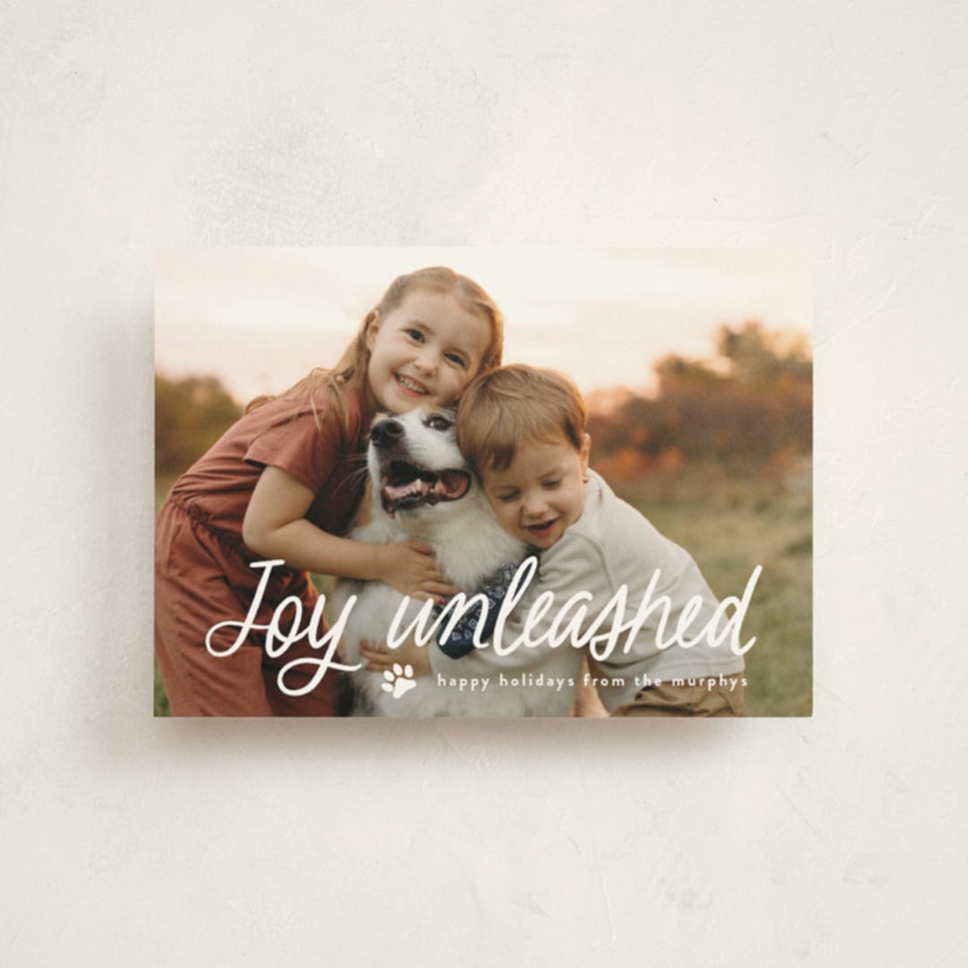 "Unleashed" - Holiday Cards in Snow by Annie Holmquist - Front