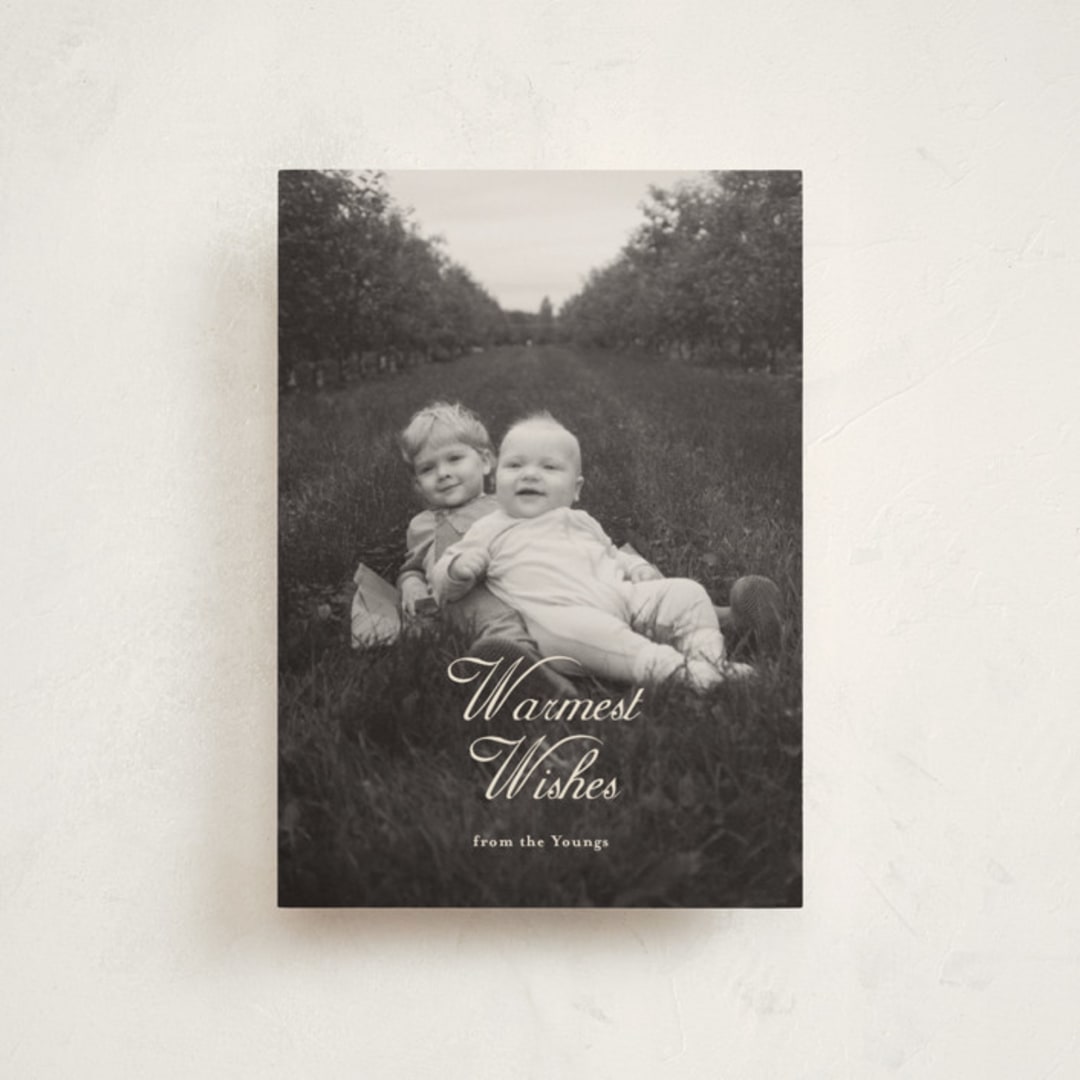 "Warm Winter Wishes" - Holiday Cards in Vanilla by Ani Somi - Front