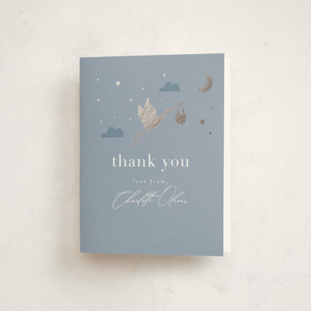 "Special Delivery" - Baby Shower Thank You Cards in Bluebell by Hudson meet Rose - Front