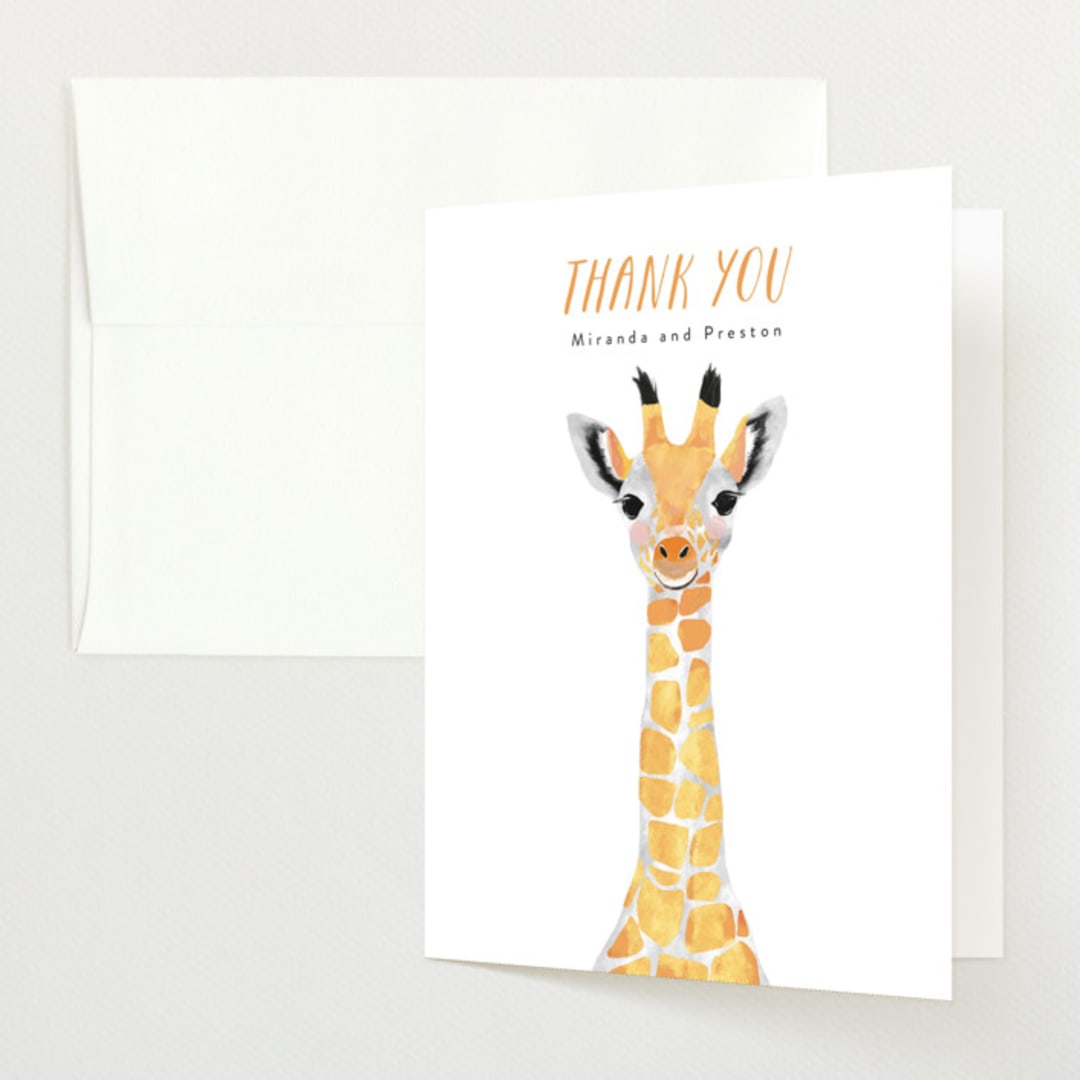 Baby Animal Giraffe