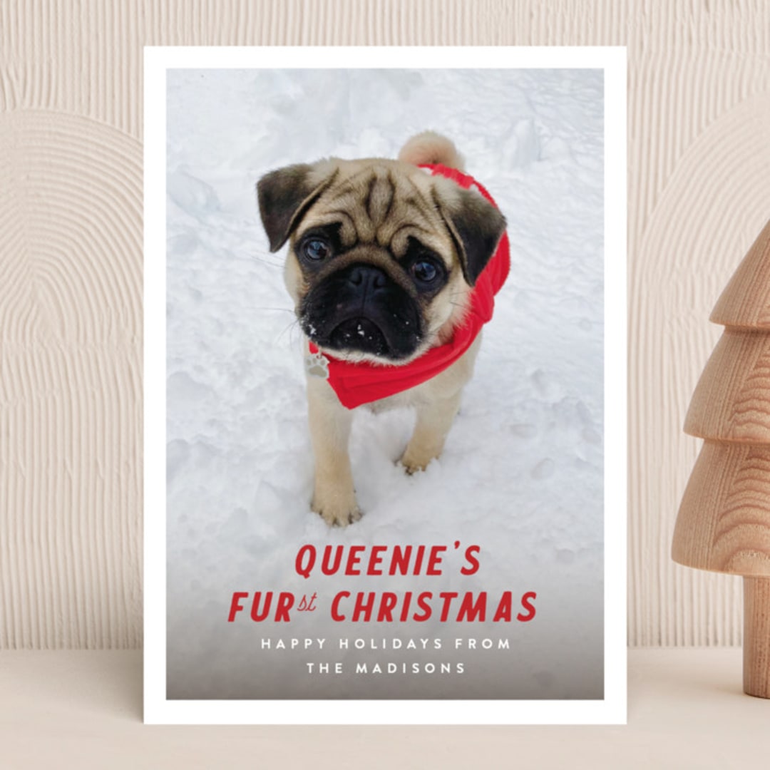 "Furst Christmas" - Holiday Cards in Sleigh Red by Up Up Creative - Front