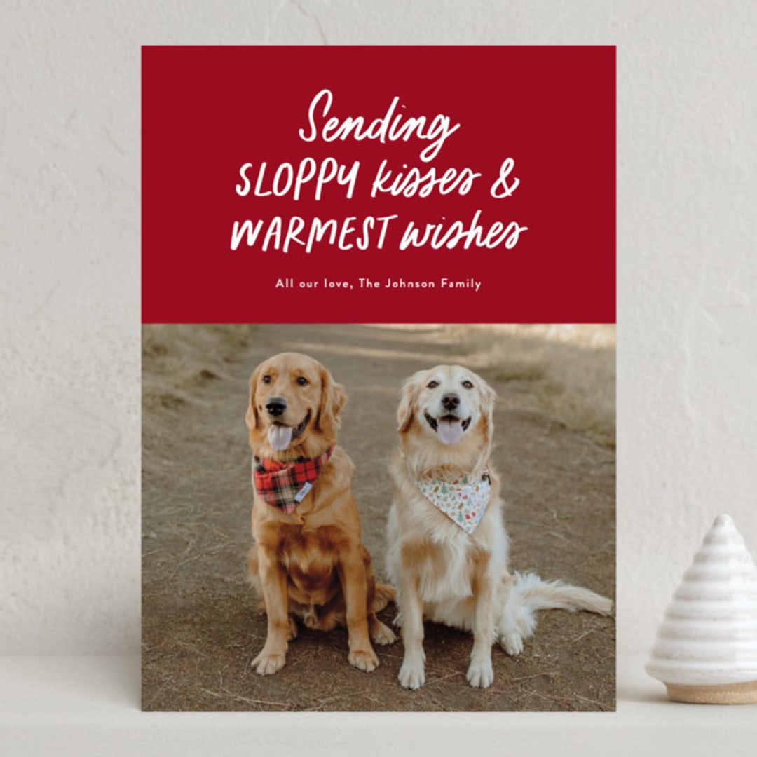 "Dog Wishes" - Holiday Cards in Cardinal by Ekko Studio - Front