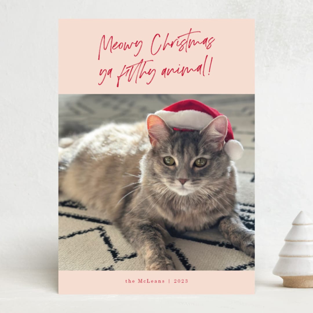 "Meowy Christmas" - Holiday Cards in Rose Cheeks by Lisa McLean - Front