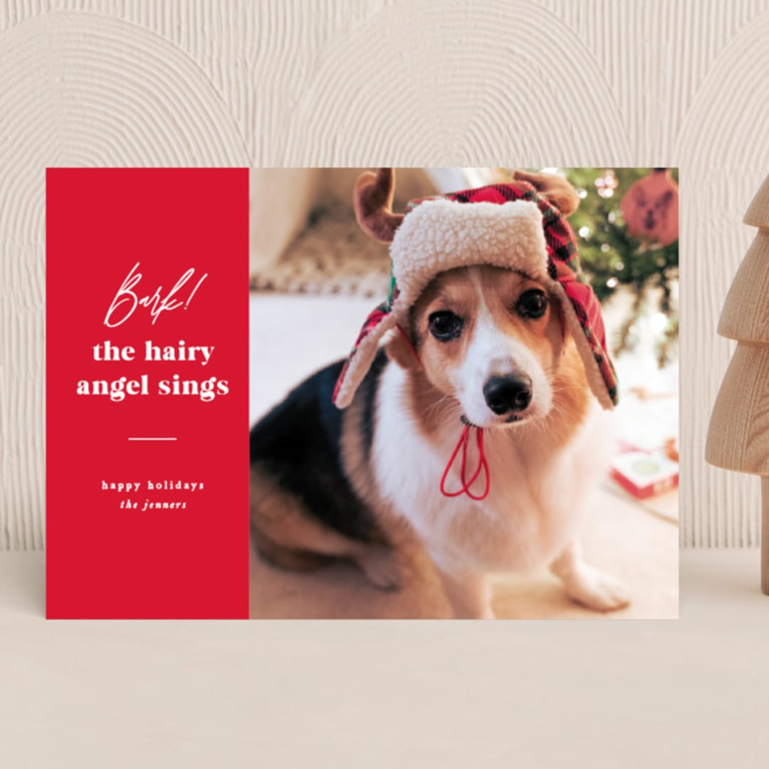 "Barking holiday" - Holiday Cards in Santa Suit by Creo Study - Front
