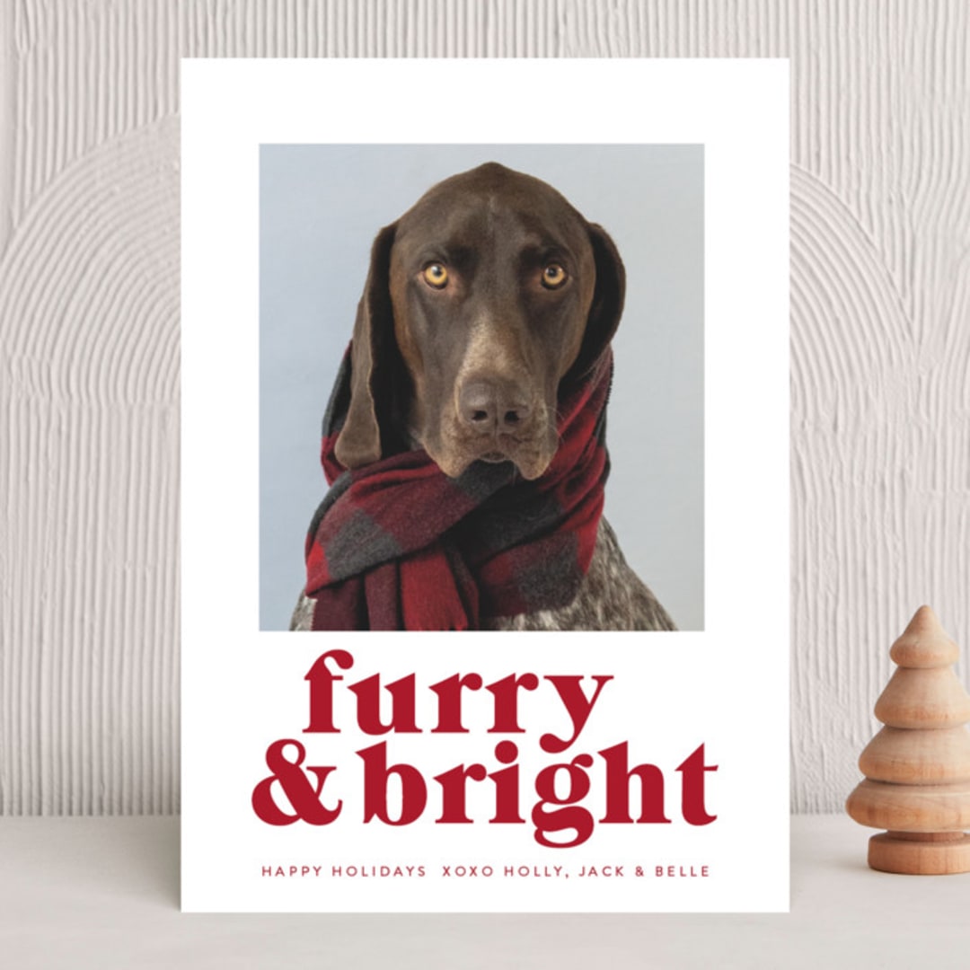"Furry + Bright" - Holiday Cards in Cranberry by Angela Thompson - Front