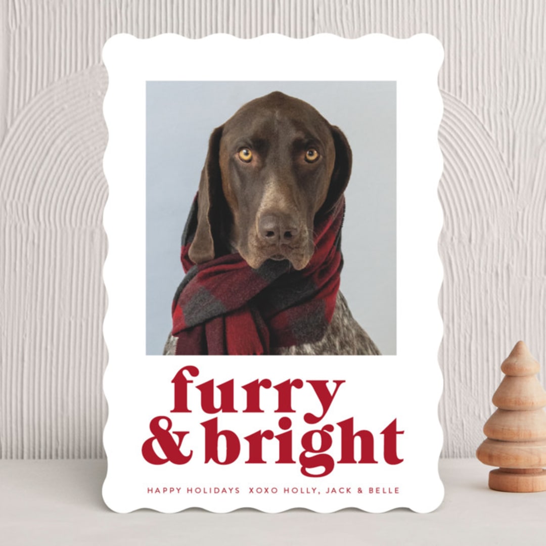 Furry + Bright