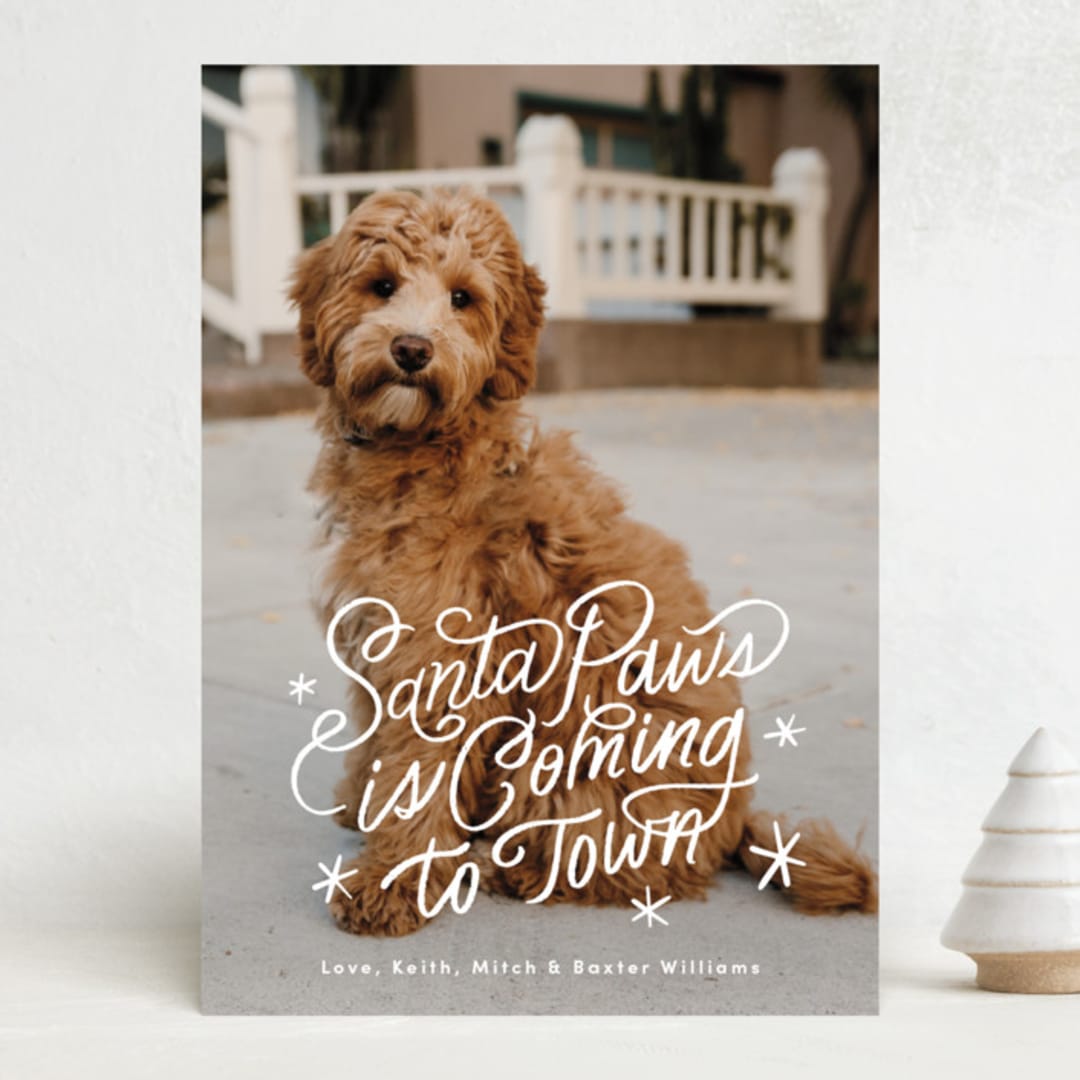 "Santa Paws is Coming to Town" - Holiday Cards in Snow by Becky Nimoy - Front