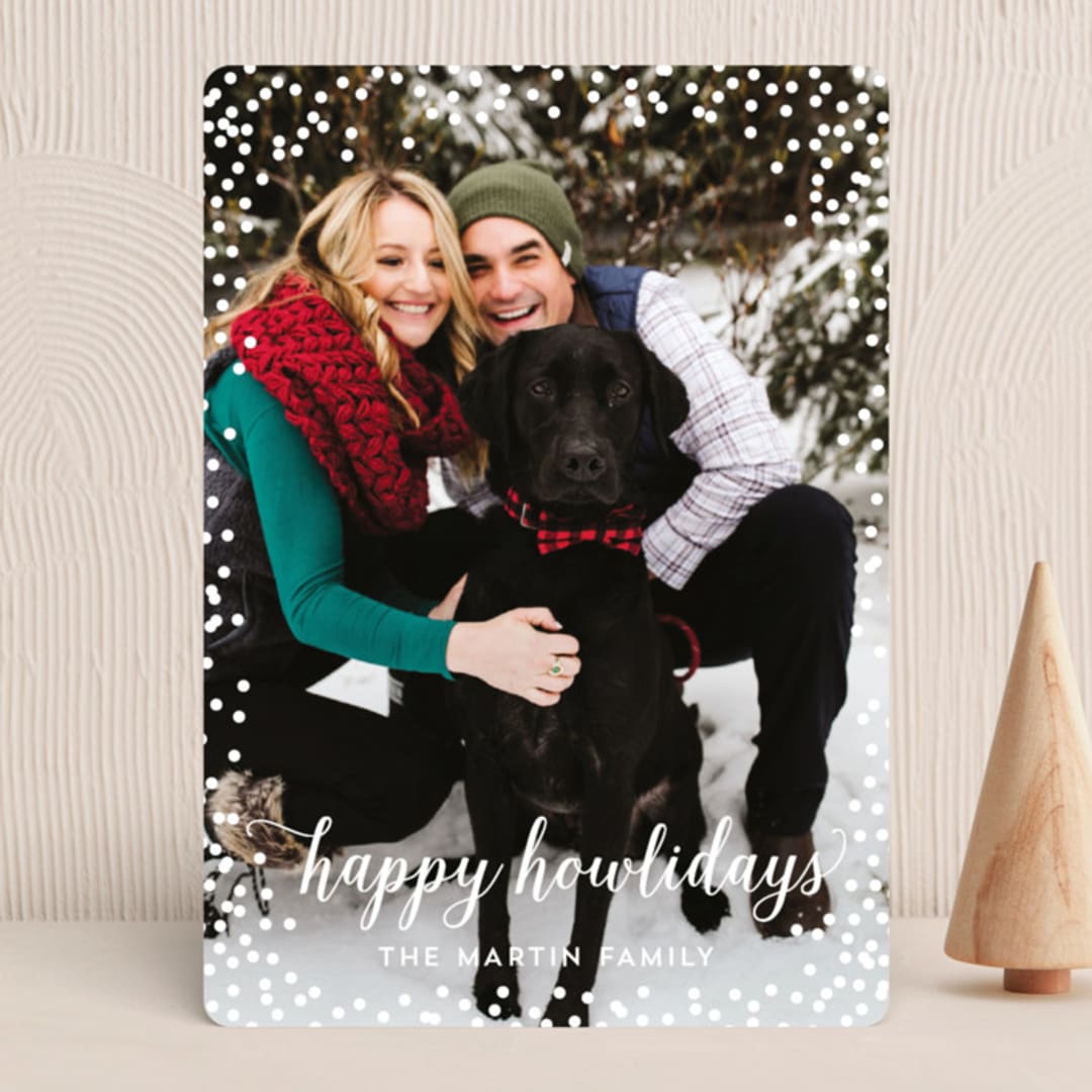 "Confetti Howlidays" - Holiday Cards in Snow by Nicole Barreto - Front