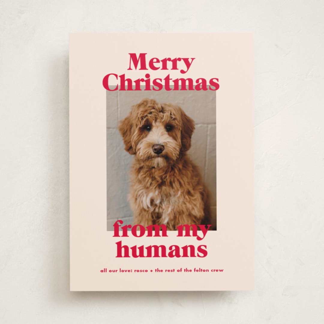 "Happy Howlidays" - Holiday Cards in Cherry by Annie Clark - Front