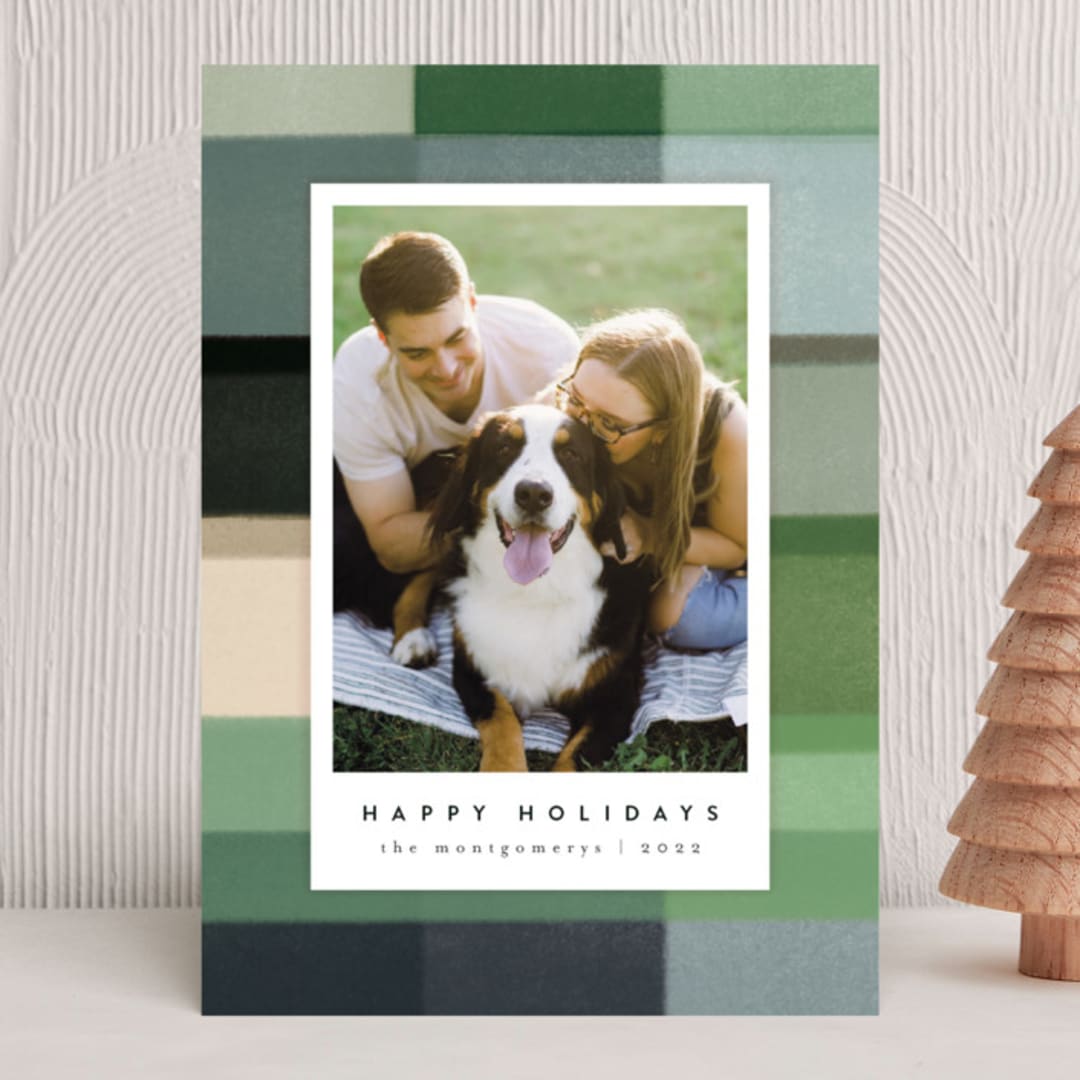 "Buffalo" - Holiday Cards in Tree Farm by Julie Murray - Front