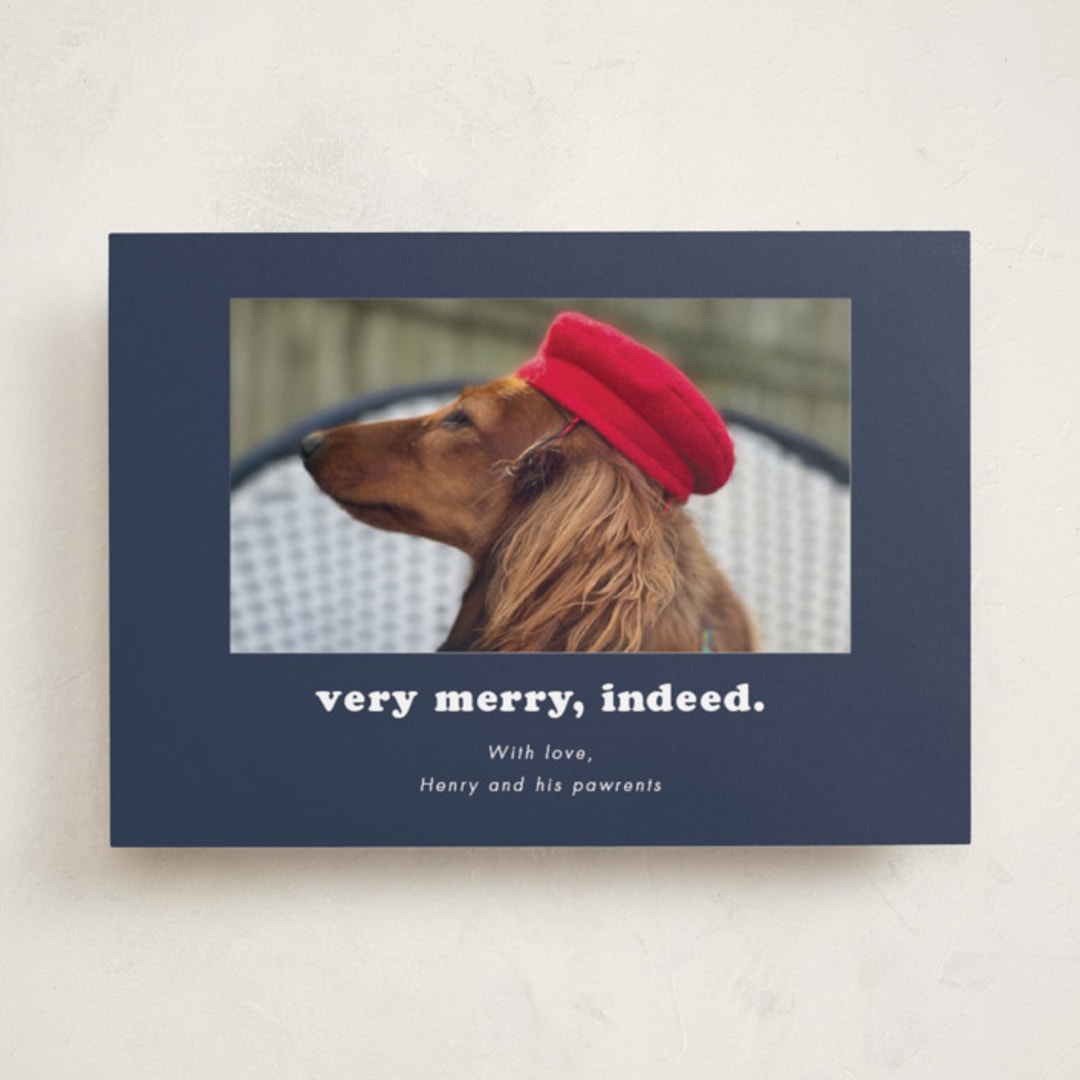 "Indeed" - Holiday Cards in Midnight by Kristen Knechtel - Front