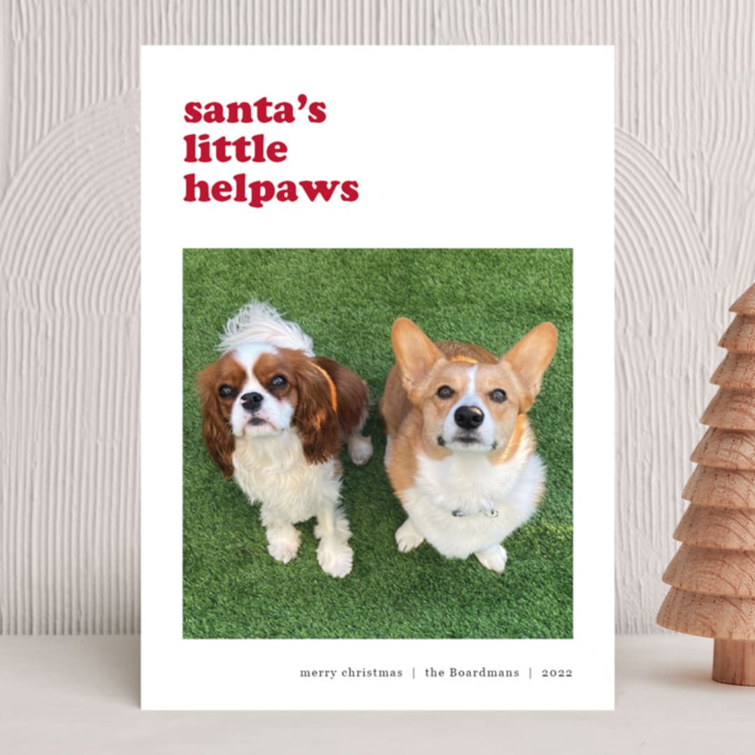 "litte helpaw(s)" - Holiday Cards in Peppermint by Pippa Shaw - Front