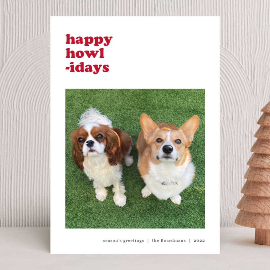 "litte helpaw(s)" - Holiday Cards in Peppermint by Pippa Shaw - Front