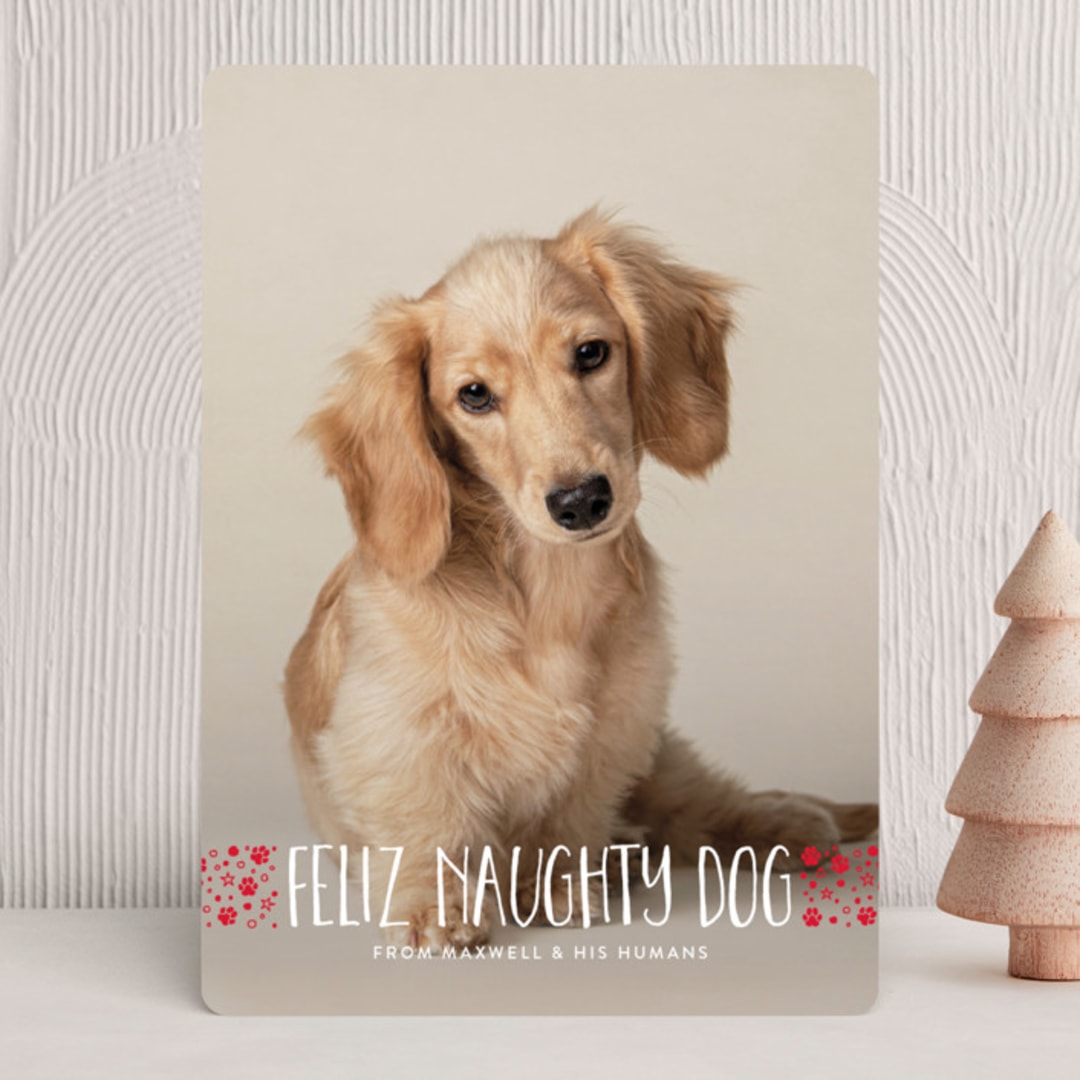 "naughty dog" - Holiday Cards in Fire Engine by Erin Deegan - Front