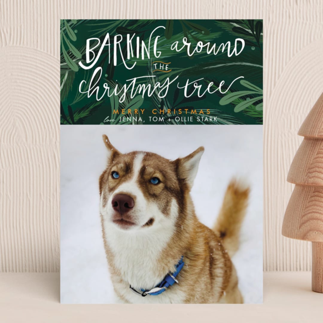 "Barking Fun" - Holiday Cards in Evergreen by Stephanie Given - Front