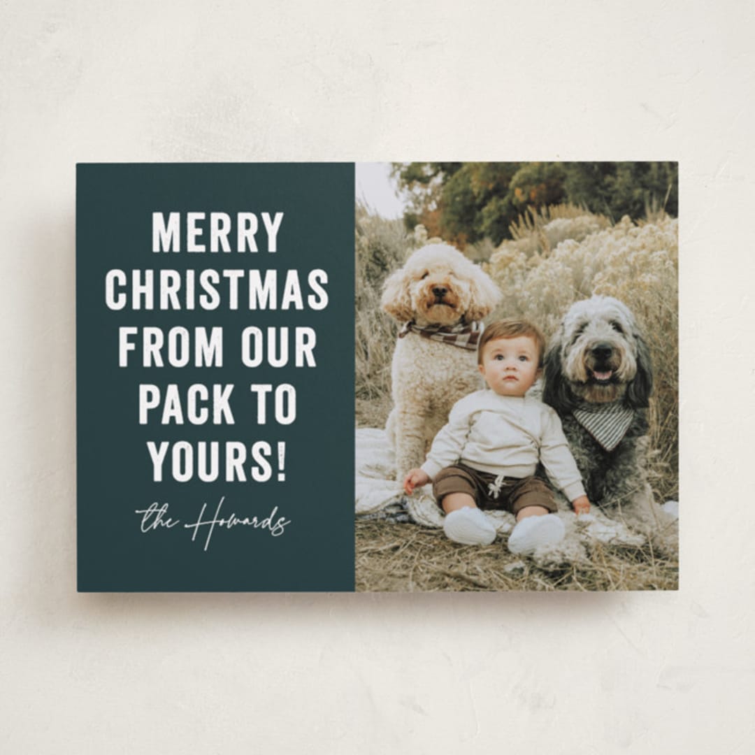 "Our Pack to Yours" - Holiday Cards in Blue Spruce by Brooke Chandler - Front