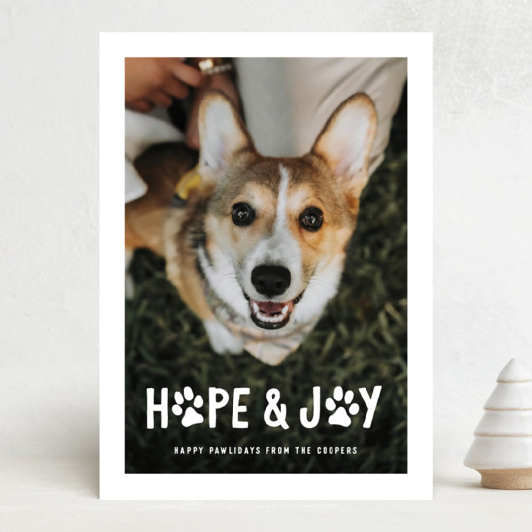 "Puppy Love and Joy" - Holiday Cards in Snow by Hooray Creative - Front
