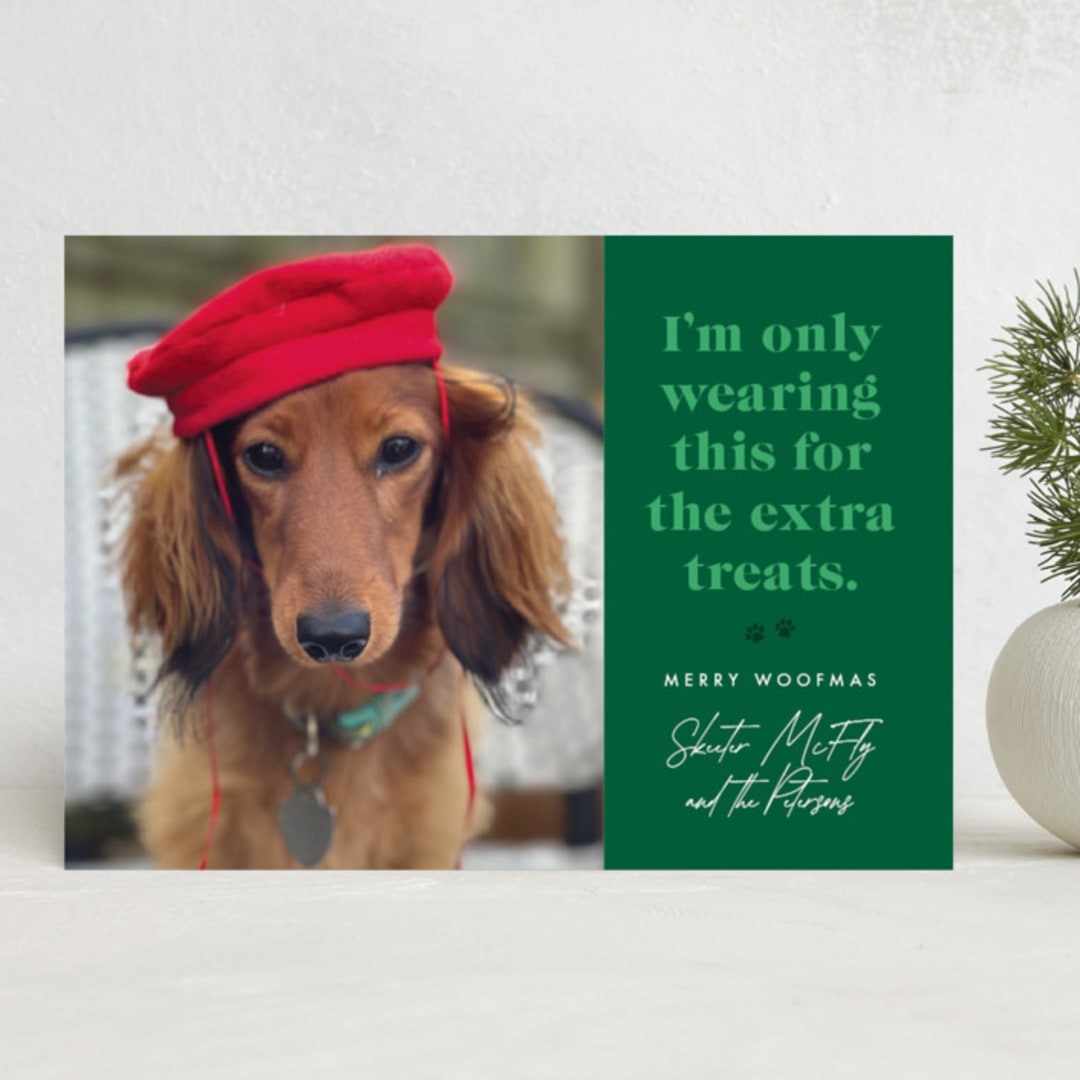 "For the Treats" - Holiday Cards in Emerald by 2birdstone - Front