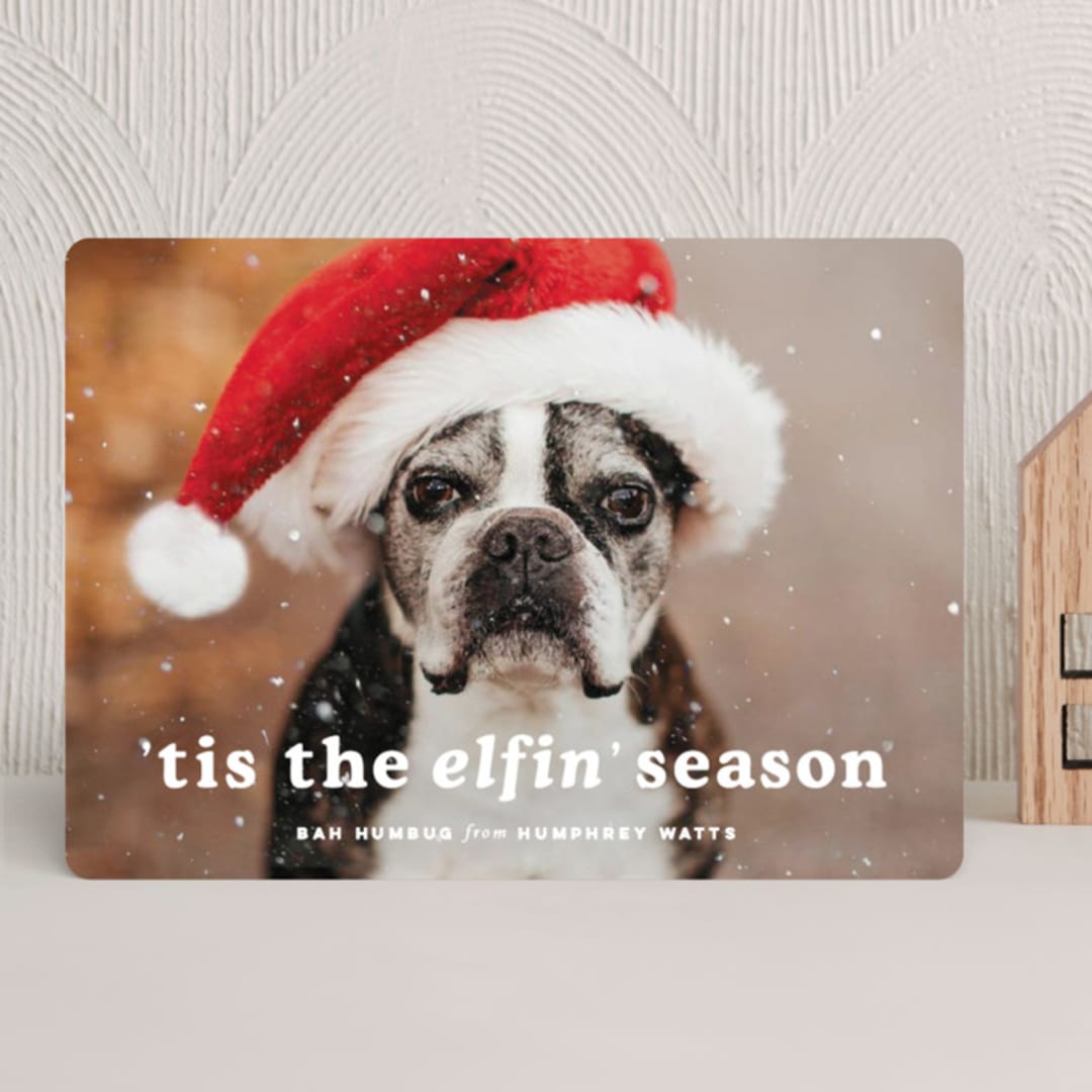 "Tis the season" - Holiday Cards in Snowfall by Sara Hicks Malone - Front
